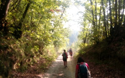 Lo spirito degli alberi nel Parco di Portofino – domenica 8 novembre 2020