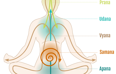 Pancha-Vayu, i 5 soffi vitali – post formazione di Yoga e Ayurveda – sabato 11 maggio 2024